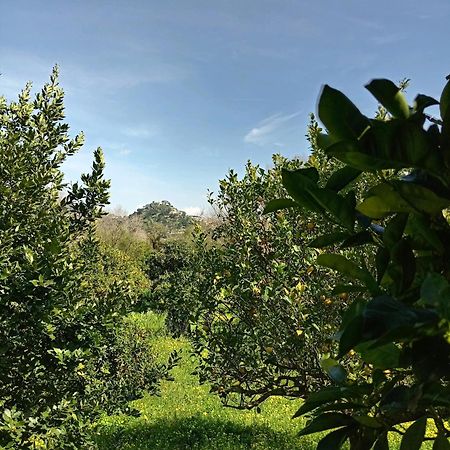 Casa Gelferraro Villa Calatafimi Luaran gambar