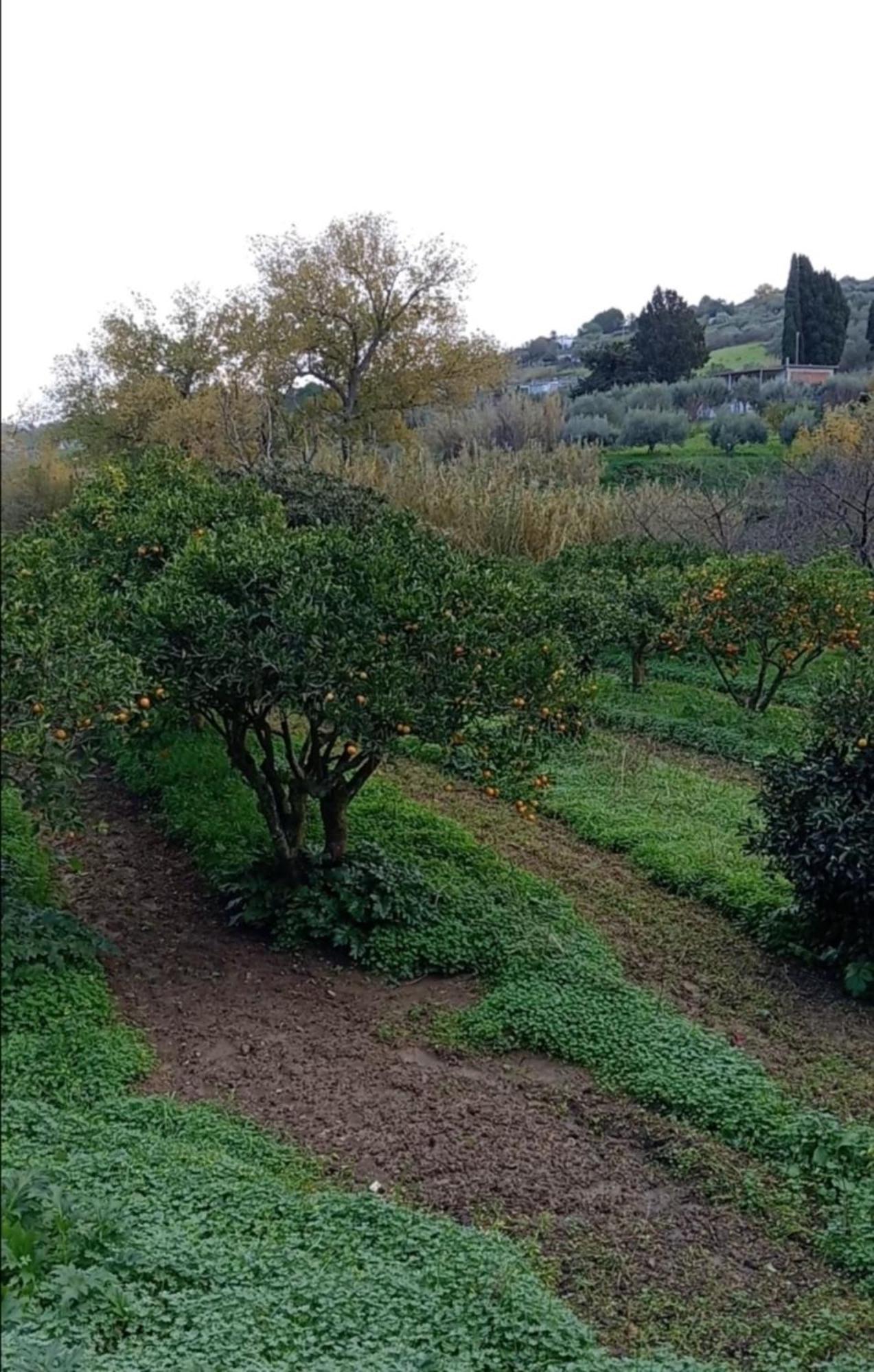 Casa Gelferraro Villa Calatafimi Luaran gambar