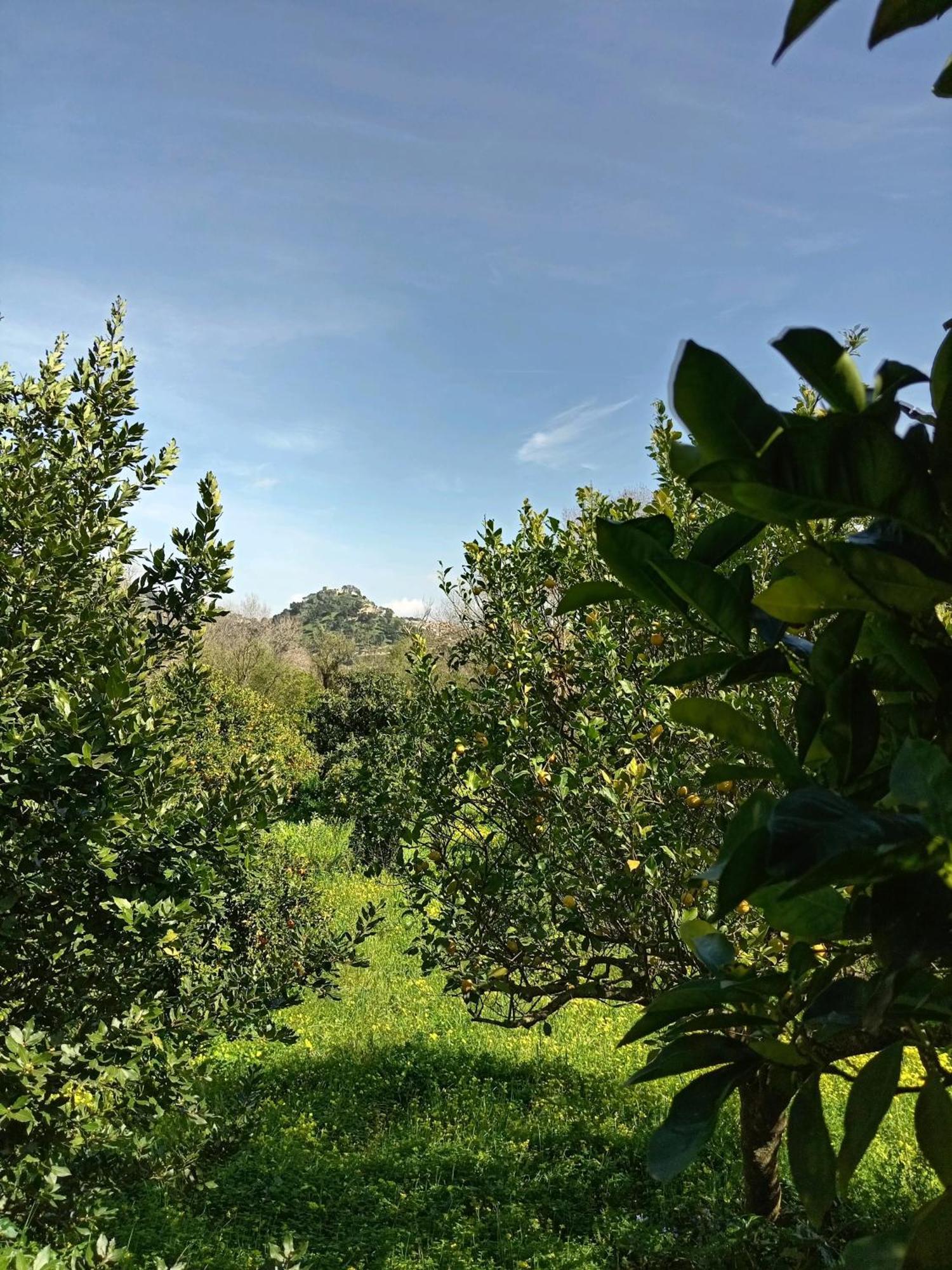 Casa Gelferraro Villa Calatafimi Luaran gambar
